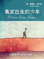 离家出走的少年 Driven From Home