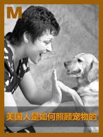 美国人是如何照顾宠物的 A detailed view of animal care in the United States