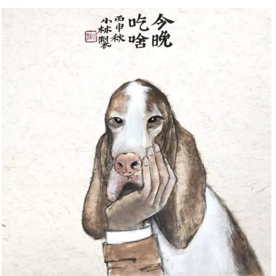 一叶二毛人